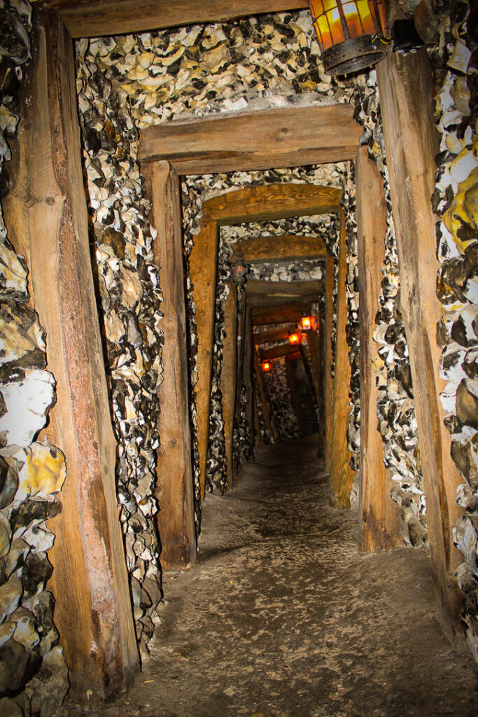 Upgrade for 2023 Cat and Mouse The Forbidden Corner